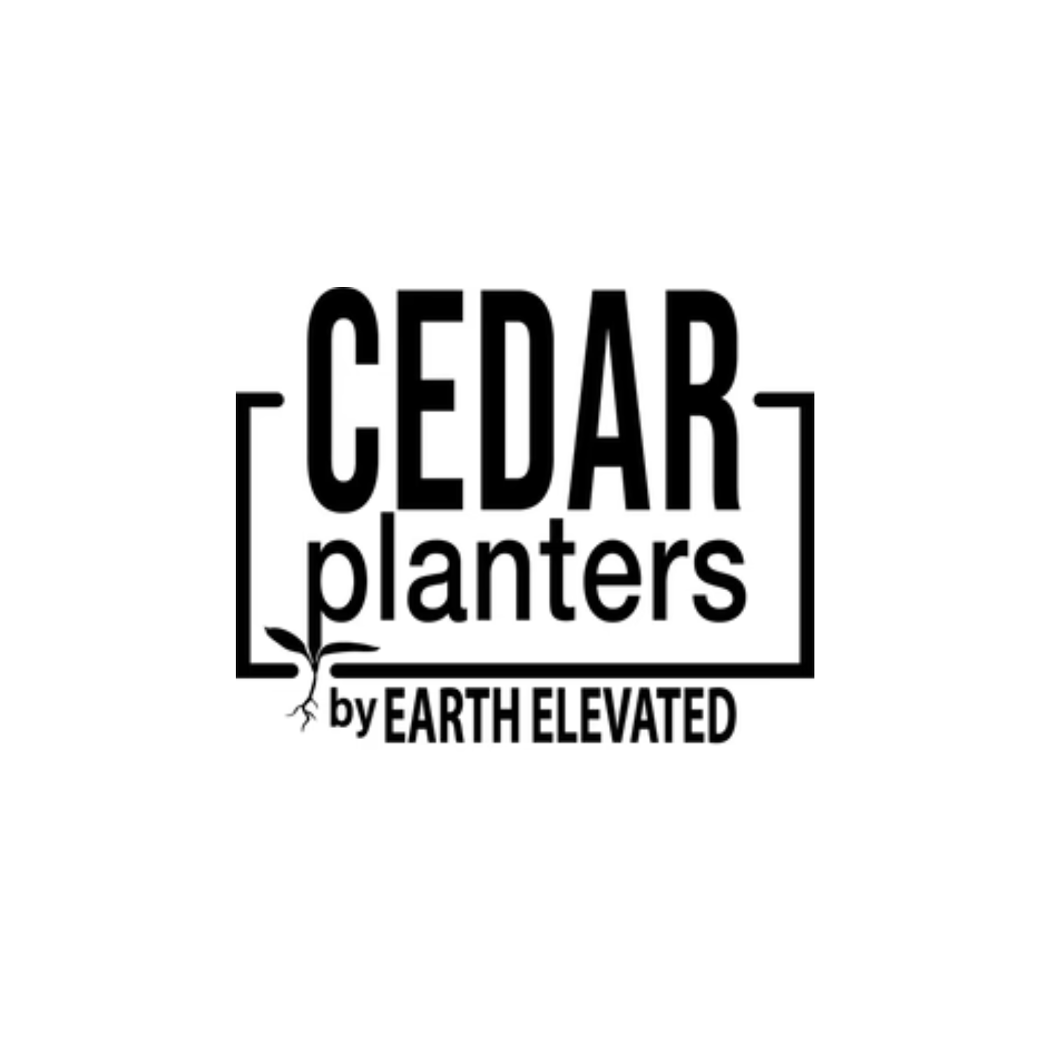 Establishing A UK Entity: Driving Rapid Business Growth Cedar-Planters