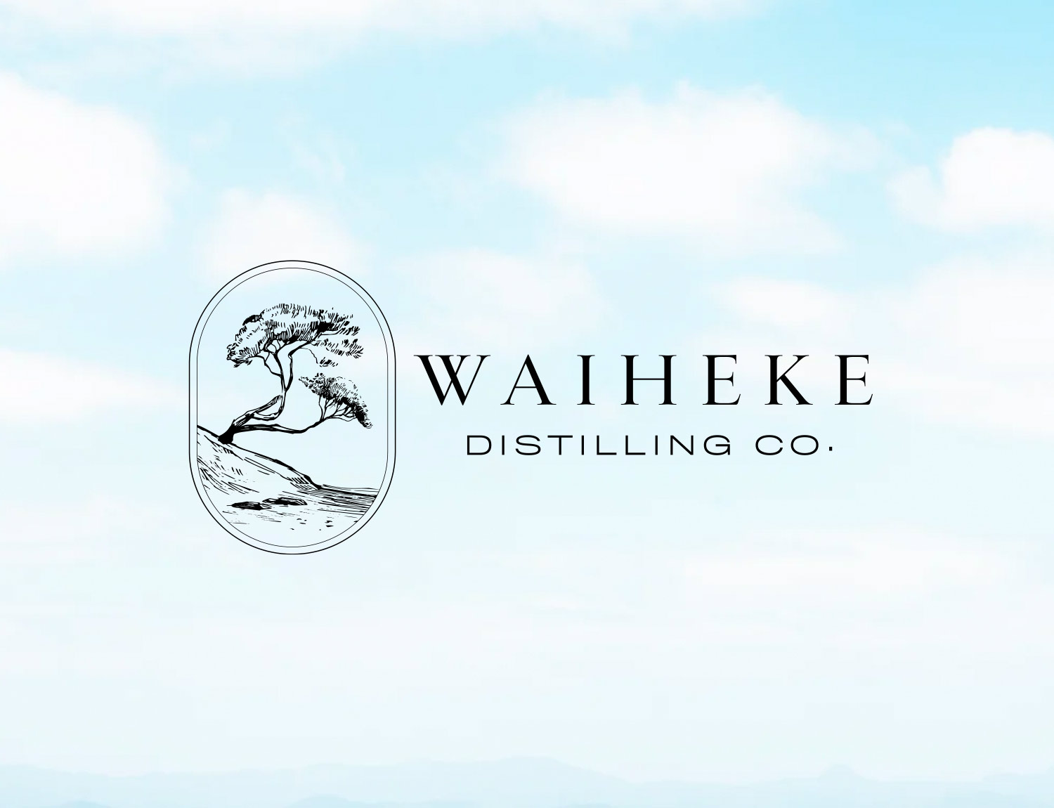 A Market Development Opportunity case-study-waiheke